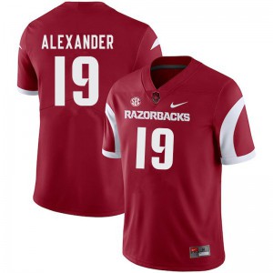 Men's Arkansas #19 Courtre Alexander Cardinal Player Jerseys 843750-492