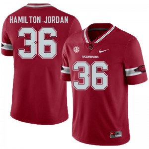 Mens Arkansas #36 Jermaine Hamilton-Jordan Cardinal Alternate NCAA Jerseys 331339-629