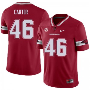 Mens University of Arkansas #46 Damani Carter Cardinal Alternate Football Jerseys 132746-400