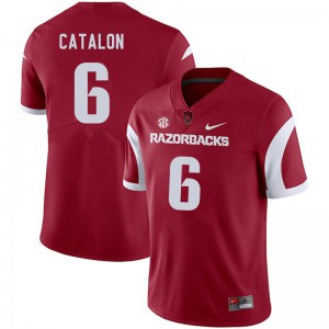 Men's Razorbacks #6 Kendall Catalon Cardinal Official Jersey 553805-487