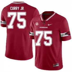 Men Arkansas #75 Ray Curry Jr. Cardinal Alternate Stitch Jerseys 106001-912
