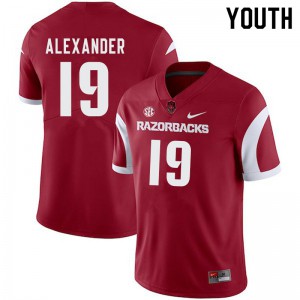 Youth University of Arkansas #19 Courtre Alexander Cardinal Player Jerseys 636011-155