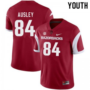 Youth Arkansas Razorbacks #84 Peyton Ausley Cardinal Embroidery Jersey 477839-764
