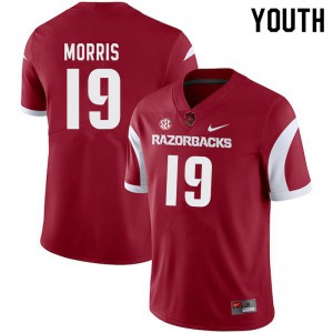 Youth Arkansas Razorbacks #19 Tyson Morris Cardinal Alumni Jerseys 312658-132