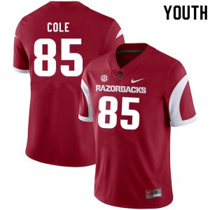Youth Arkansas #85 Harper Cole Cardinal NCAA Jersey 784803-197