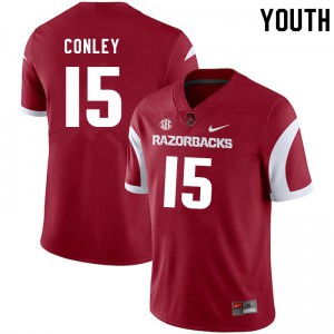 Youth University of Arkansas #15 Jon Conley Cardinal University Jerseys 676464-416