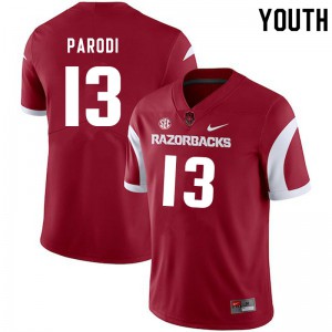 Youth Arkansas Razorbacks #13 Nathan Parodi Cardinal Official Jersey 342426-249