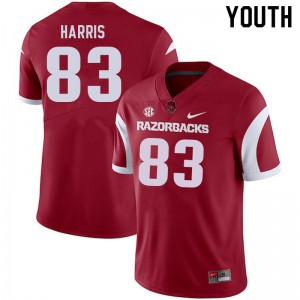 Youth University of Arkansas #83 Chris Harris Cardinal Alumni Jerseys 205822-998