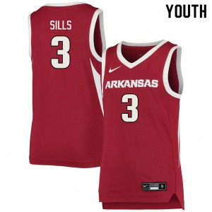 Youth Arkansas #3 Desi Sills Cardinal Embroidery Jerseys 279319-457