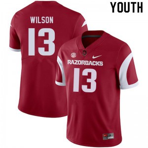 Youth Razorbacks #13 Jaedon Wilson Cardinal College Jerseys 449432-321