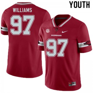 Youth Arkansas Razorbacks #97 Jalen Williams Cardinal Alternate Football Jerseys 405629-110