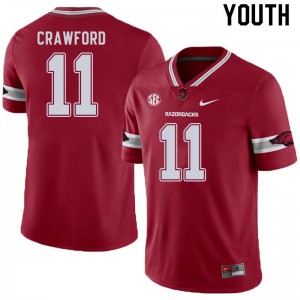 Youth Arkansas Razorbacks #11 Jaquayln Crawford Cardinal Alternate Player Jerseys 991205-328