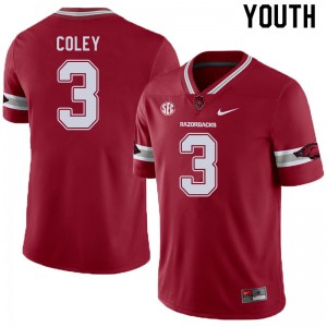 Youth Arkansas #3 Lucas Coley Cardinal Alternate Football Jerseys 106857-729