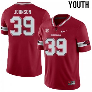 Youth Razorbacks #39 Nathan Johnson Cardinal Alternate Stitched Jersey 685169-367