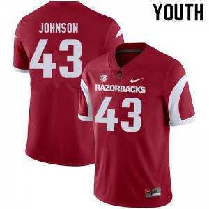 Youth Arkansas #43 Cedric Johnson Cardinal Football Jerseys 922969-654