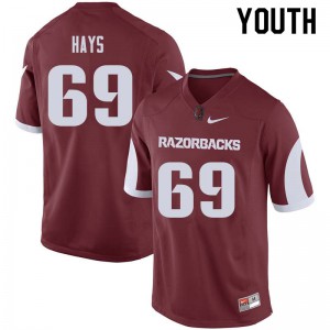 Youth University of Arkansas #69 Dylan Hays Cardinal Embroidery Jerseys 277204-395