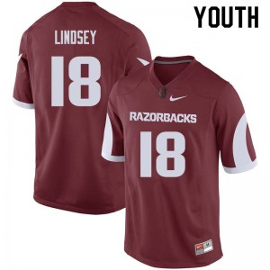 Youth University of Arkansas #18 Jack Lindsey Cardinal Stitched Jersey 634447-519