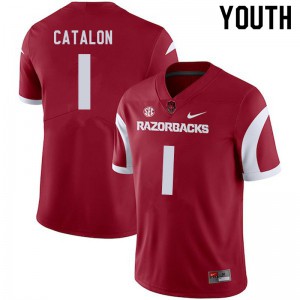 Youth Arkansas #1 Jalen Catalon Cardinal Player Jerseys 624962-458