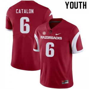Youth Arkansas #6 Kendall Catalon Cardinal Stitch Jerseys 922689-615