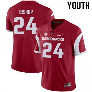 Youth Arkansas #24 LaDarrius Bishop Cardinal Player Jersey 870347-895