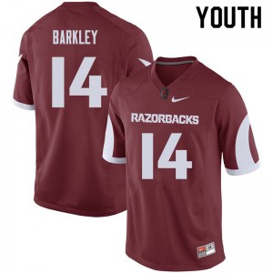 Youth Razorbacks #14 Maleek Barkley Cardinal NCAA Jerseys 101440-942