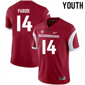 Youth Razorbacks #14 Nathan Parodi Cardinal Stitched Jersey 418410-370